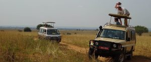 Authentic Tours and Safaris