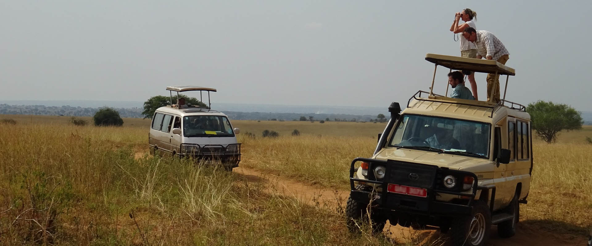Authentic Tours and Safaris